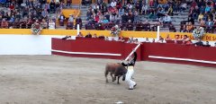 Fêtes de Pentecôte du 8 au 10 juin 2019