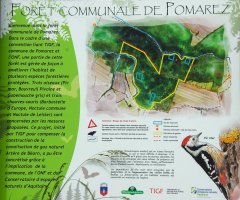 Forêt Communale de Pomarez