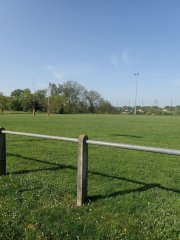 Terrain du rugby